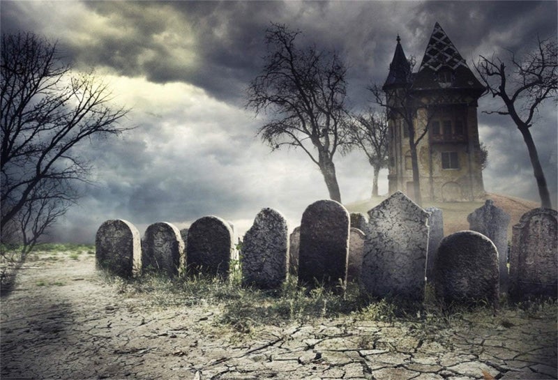 Laeacco Halloween Theme Backdrop 10x65ft Scary Haunted House Creepy Cemetery Backdrop Cloudy Wilderness Ghastly Spooky Tombs Foggy Haunted Castle Trick or Treat Party Decoration Halloween Photo Prop - Image 2