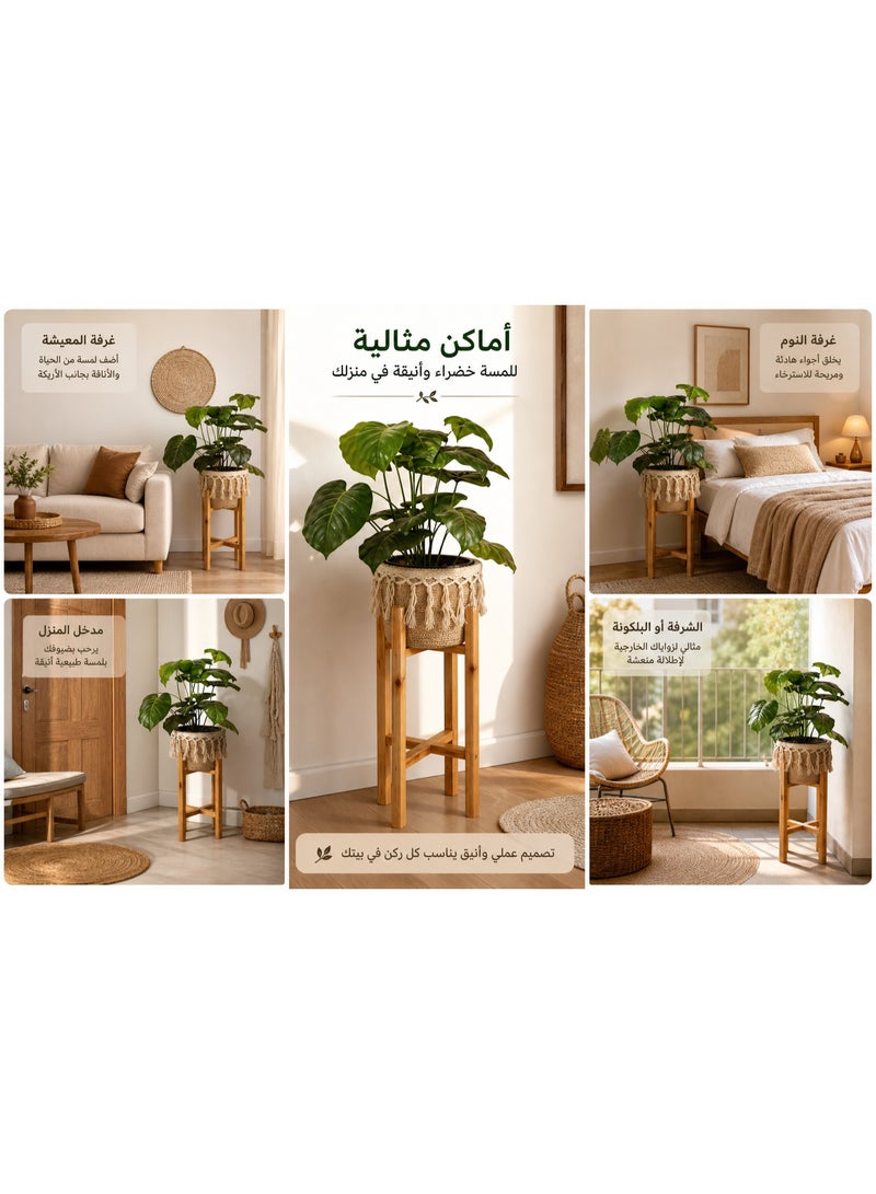 كالدا حامل نباتات خشب "كالدا" ريفي مع سلة مكرمية مدمجة – حامل زرع ديكور بوهيمي 2 في 1 لغرفة المعيشة الداخلية، الشرفة والمداخل – ديكور خشب طبيعي - Image 3