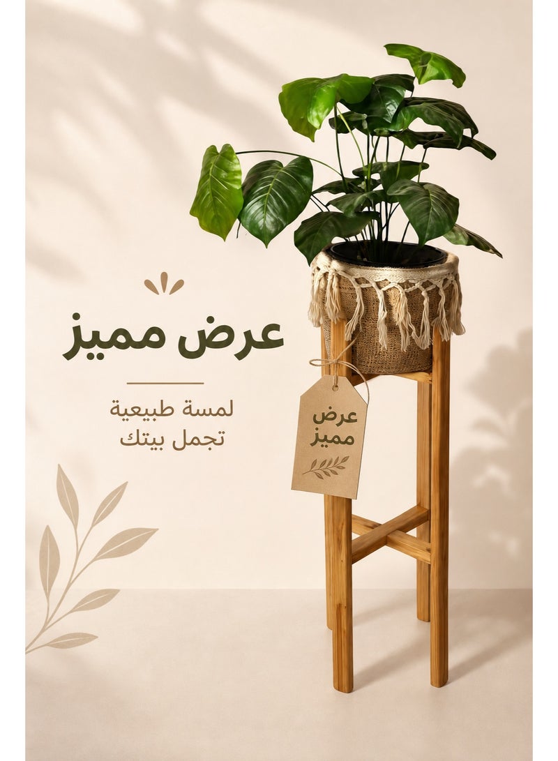كالدا حامل نباتات خشب "كالدا" ريفي مع سلة مكرمية مدمجة – حامل زرع ديكور بوهيمي 2 في 1 لغرفة المعيشة الداخلية، الشرفة والمداخل – ديكور خشب طبيعي - Image 2