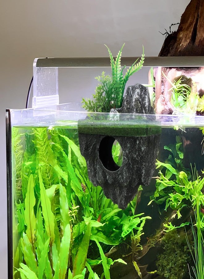 توي اند اونا زينة أحواض السمك من توياندونا - زينة صخرية لأحواض السمك الصغيرة - أحجار صخرية عائمة لأحواض السمك، مناسبة لأسماك البيتا، والجوبي، والأسماك الذهبية، والروبيان، وسرطان البحر - Image 5