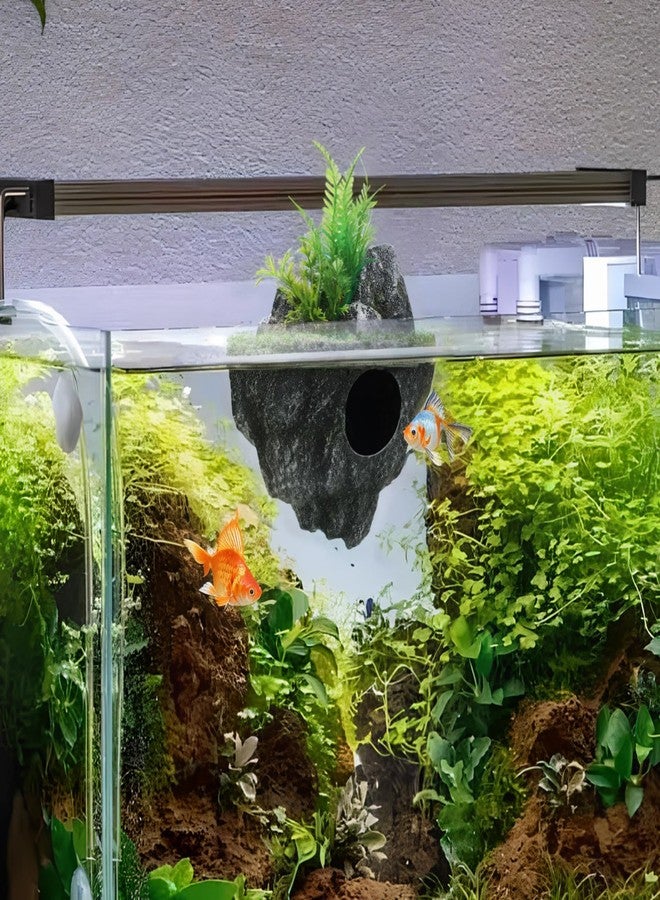 توي اند اونا زينة أحواض السمك من توياندونا - زينة صخرية لأحواض السمك الصغيرة - أحجار صخرية عائمة لأحواض السمك، مناسبة لأسماك البيتا، والجوبي، والأسماك الذهبية، والروبيان، وسرطان البحر - Image 4