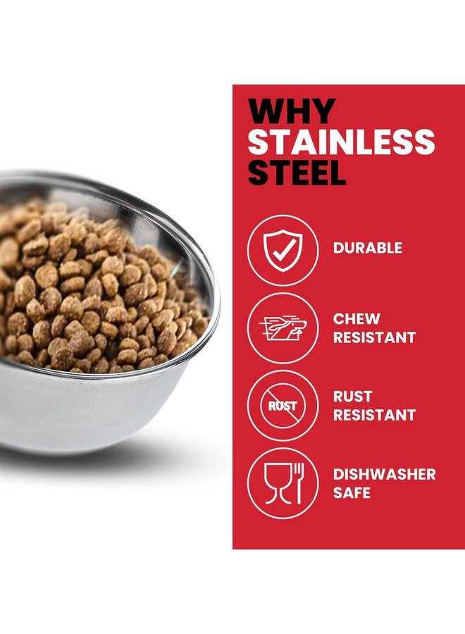 سبوت وعاء طعام للحيوانات الأليفة بسعة 20 أونصة من Ethical Pet Spot مصنوع من الفولاذ المقاوم للصدأ، مثالي للأقفاص والصناديق. للطيور والكلاب والقطط والزواحف. (6011) - Image 4