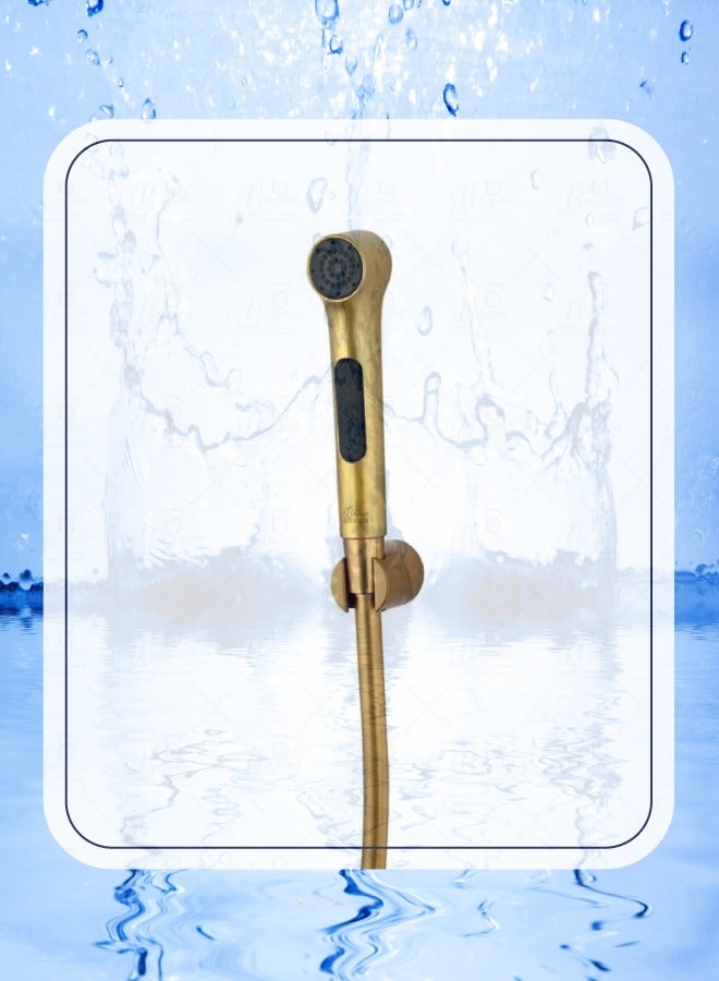 B Bagno 2 BAGNO Matte Gold Bidet Sprayer, Model No. SF02MG - Image 1