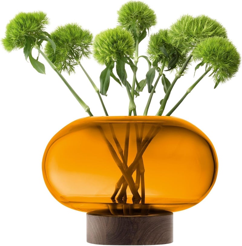 LSA Oblate Amber Glass Vase with Walnut Wood Base – Modern Wide Decorative Flower Vase (H19.5cm x W28cm) - Image 2