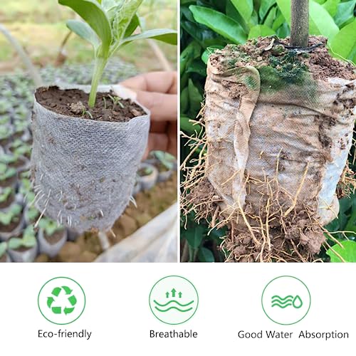 Belit Nursery Growing Bags, 100 Pcs Fabric Seedling Pots Non-Woven Pouch for Gardening Seed Plant Bag, Potato, Flower, Tomato Plant Starts (5.6" x 7.4 ") - Image 5