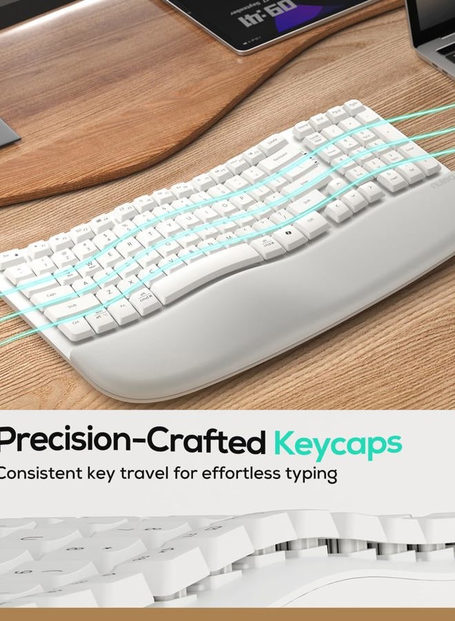 Nulea RT08 Wave Keys Wireless Ergonomic Keyboard with Cushioned Palm Rest, 2.4GHz Ergo Cordless USB Computer Keyboard, Comfortable Natural Typing, for Laptop, Mac, Windows (White) - Image 3