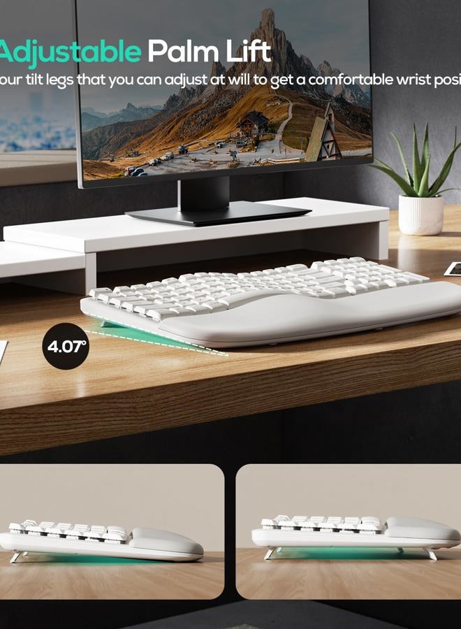 Nulea RT08 Wave Keys Wireless Ergonomic Keyboard with Cushioned Palm Rest, 2.4GHz Ergo Cordless USB Computer Keyboard, Comfortable Natural Typing, for Laptop, Mac, Windows (White) - Image 5