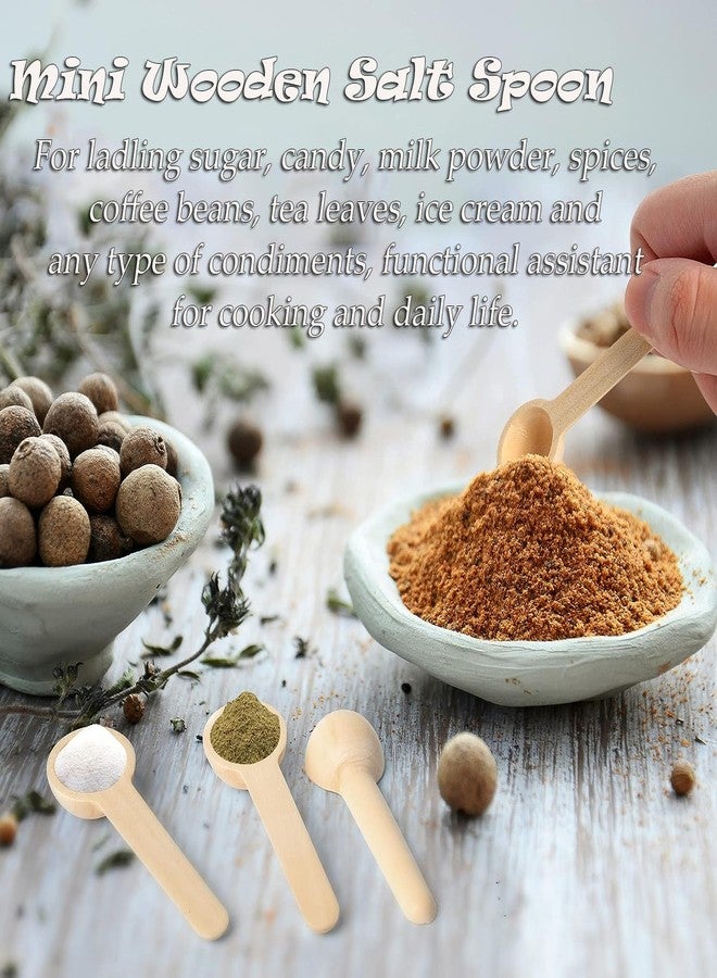 AKOAK 12 Pcs Mini Wooden Salt Spoon, Natural Wooden Spoon, Small Seasoning Spoon, for Spice Jars, Coffee, Jam, Condiments, Honey, Tea, Sugar, Kitchen Cooking - Image 4