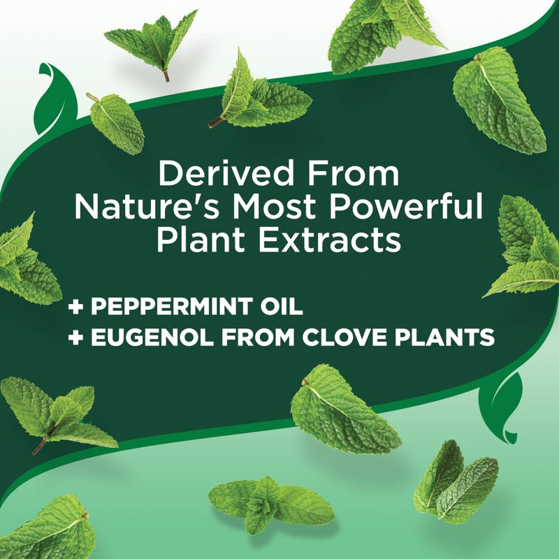 Vet's Best Flea and Tick Yard & Kennel Spray, Dog Flea Spray that Kills Fleas, Mosquitoes, & Ticks, Plant-Based Ingredients, Plant Safe Ready-to-Use Hose Attachment, 32 fl oz - Image 5