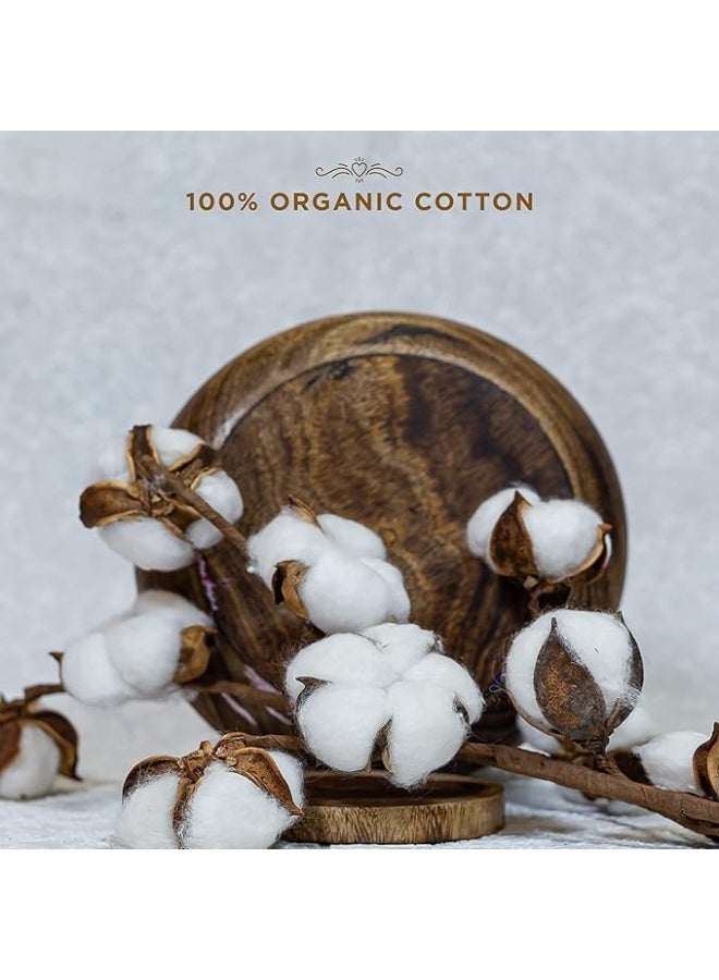 بيساف فوط صحية من القطن العضوي قابلة للتحلل الحيوي من بي سيف (عبوة من 10 قطع، عادية) - Image 4