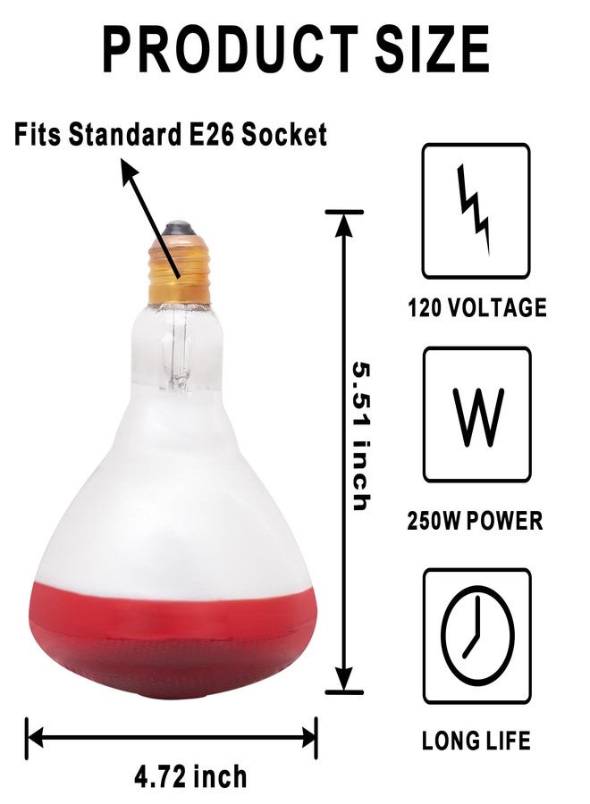 Aiicioo Infrared Heat Lamp Bulb 250W Red Infrared Heat Bulb for Chickens Reptile Heat Light Bulb for Brooder Coop Chicks Pet Reptile Amphibians Par38 Glass E26 Base - Image 2
