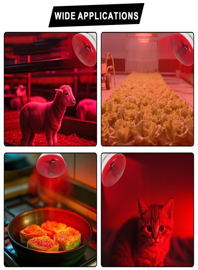 Aiicioo Infrared Heat Lamp Bulb 250W Red Infrared Heat Bulb for Chickens Reptile Heat Light Bulb for Brooder Coop Chicks Pet Reptile Amphibians Par38 Glass E26 Base - Image 5