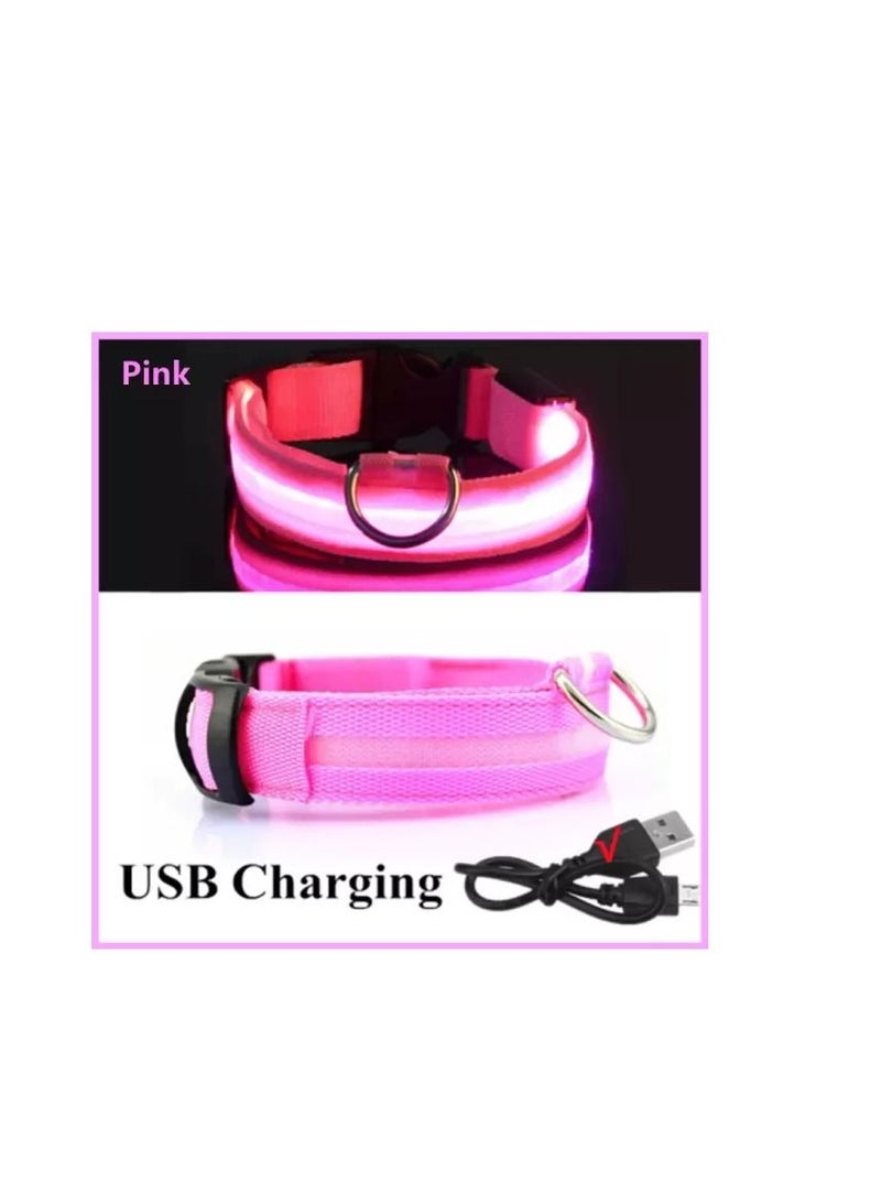 Dog Collar Belt Electronic LED, Rechargeable Luminous - USB 