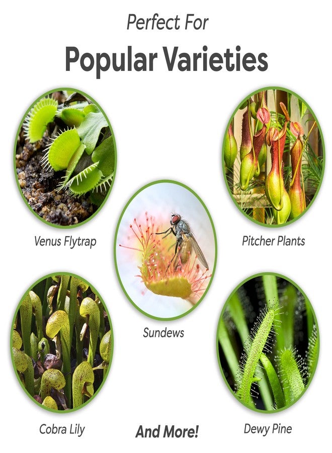 PERFECT PLANTS تربة بيرفكت بلانتس للنباتات اللاحمة | 4 كوارت من المزيج العضوي الممتاز | يُستخدم مع نباتات فينوس آكلة الذباب، أو نباتات الإبريق، أو غيرها من النباتات اللاحمة - Image 3