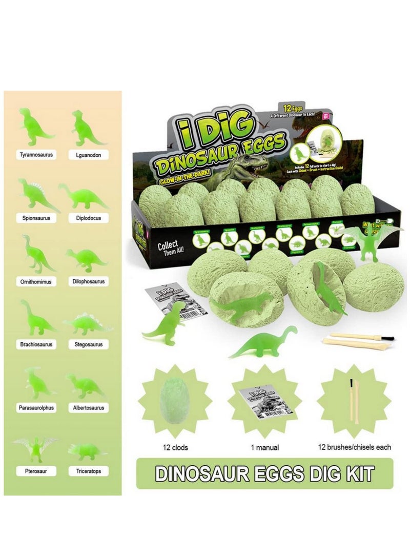 Night Glow Dinosaur Eggs 12 Dinosaur Excavation Kits - Image 1