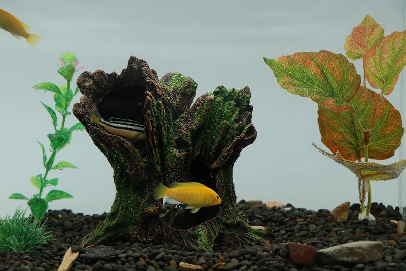 AQUA KT Aquarium Landscape Tree Stump Trunk Hollow Betta Cichlid Cave Rocks for Fish Hiding Tank Decoration Decorations - Image 5