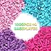 Reenwee Childrens Creative Building Bricks Set 1000 Pieces Assorted Colors Compatible with Major Brands 10 x 10 Square Base Plates - Image 2