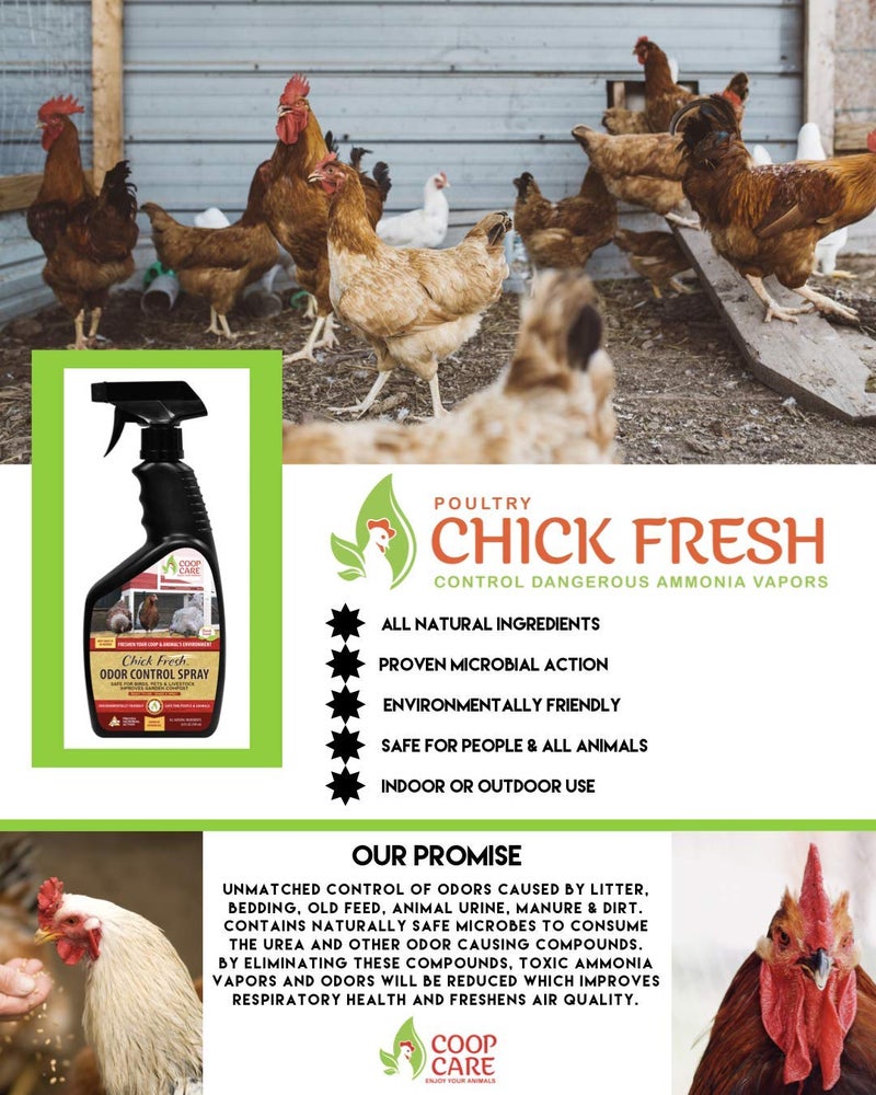 Coop Care Chick Fresh - Odor Control Spray for Backyard Chickens. Eliminator of Chicken Coop & Brooders Odor & Ammonia! 24 oz Poultry Spray Bottle Poultry Supplies from - Image 2