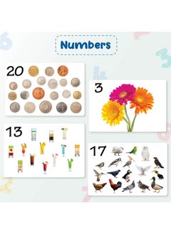 Hungry Brain My First Pack of 3C Flash Cards for Toddlers, 74 Cards - 148 Sides, Colour & Shapes, Capital Alphabet, Numbers, Montessori, Educational, Kindergarten, Preschool Learning Activities, 1-4 Years Babies  - Image 3