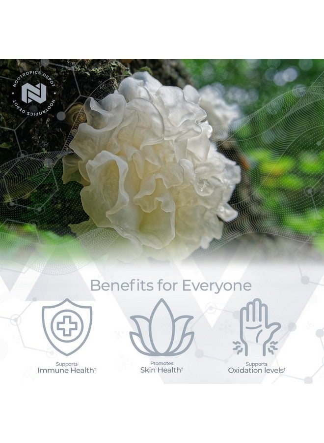 Nootropics Depot White Jelly Mushroom Capsules | 500mg | 60 Count | Tremella fuciformis - Image 3