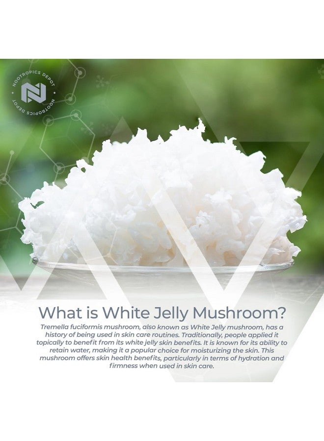 Nootropics Depot White Jelly Mushroom Capsules | 500mg | 60 Count | Tremella fuciformis - Image 4