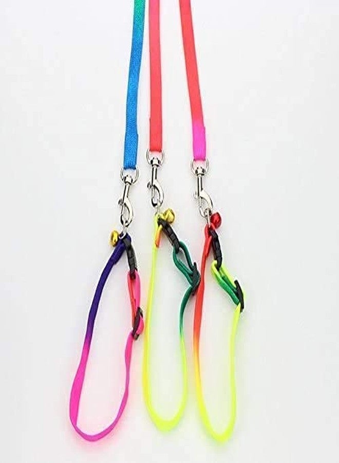 D&C PAWS Pet Rainbow 10MM Design Printed Nylon Neck Collar Belt and Nylon Leash with Adjustable Stainless Steel Hook Set Ideal for Training/Walking Dogs and Puppies, Multicolor (Pack of 1pc) - Image 2