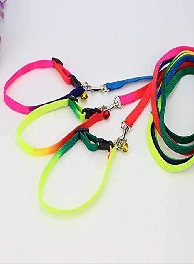 D&C PAWS Pet Rainbow 10MM Design Printed Nylon Neck Collar Belt and Nylon Leash with Adjustable Stainless Steel Hook Set Ideal for Training/Walking Dogs and Puppies, Multicolor (Pack of 1pc) - Image 3