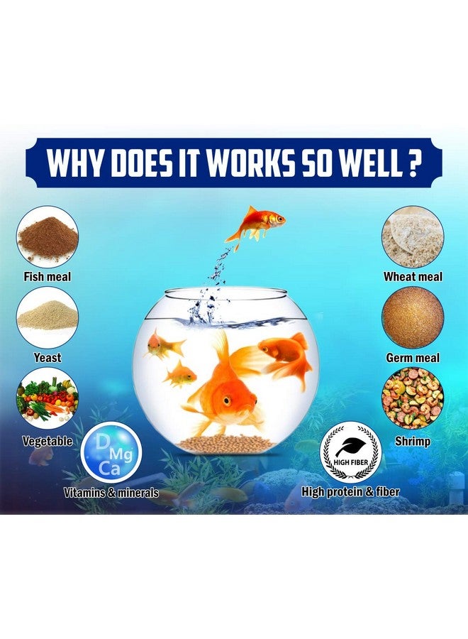 Boltze طعام حبيبي للأسماك من أجل النمو والصحة في جميع مراحل الحياة، اختيار خبراء التغذية للأحواض المائية (1 كجم) - Image 3