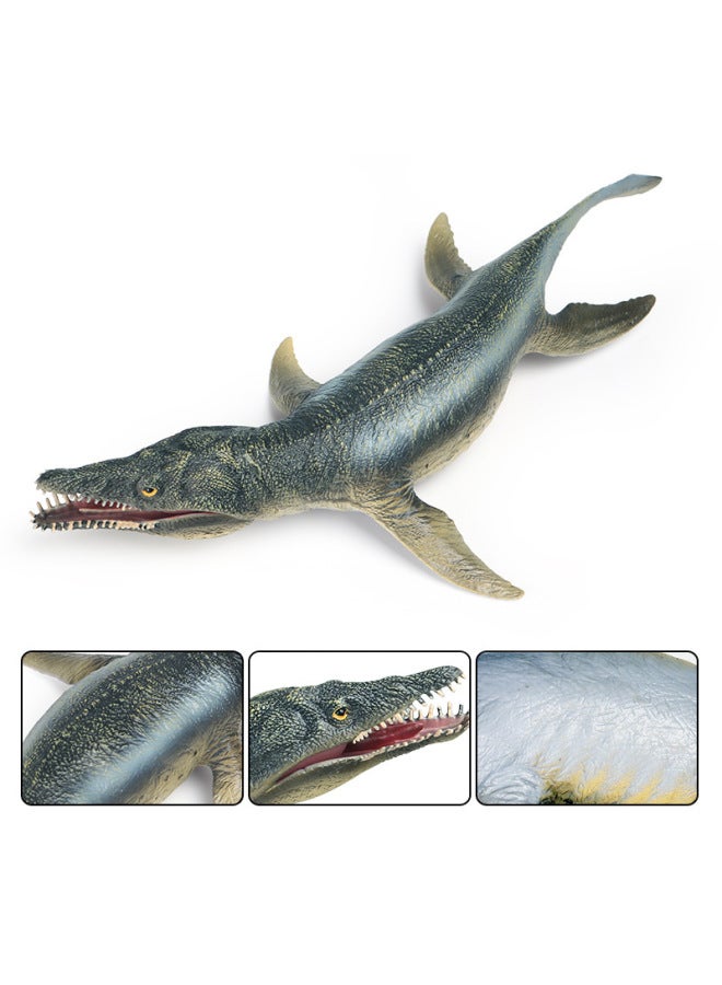 Children's Simulation Marine Animal Dinosaur Model Ornaments Kerou Dragon Sliding Tooth Dragon Canglong Jurassic Dinosaur Toy-Color:Ox-191 Clorosaurus (Mouth Movable)  - Image 4