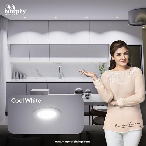 Murphy Polycarbonate 7-Watts Vivo Round LED Panel Conceal Down Light (Cool White, Pack Of 10)(Others) - Image 5