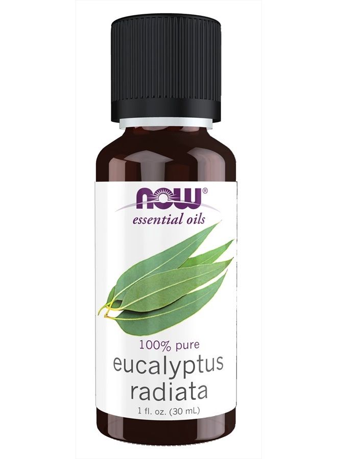 now Essential Oils, Eucalyptus Radiata Oil, Revitilizing Aromatherapy Scent, Steam Distilled, 100% Pure, Vegan, Child Resistant Cap, 1-Ounce - Image 1