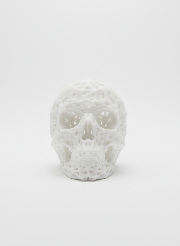 أخوة ثلاثي الأبعاد ديكور جمجمة بتصميم فورونوي عصري – قطعة ديكور فنية مميزة للمكتب والمنزل - Image 2