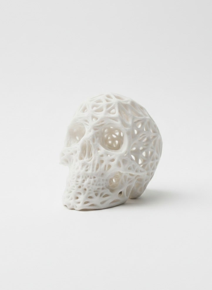 أخوة ثلاثي الأبعاد ديكور جمجمة بتصميم فورونوي عصري – قطعة ديكور فنية مميزة للمكتب والمنزل - Image 3