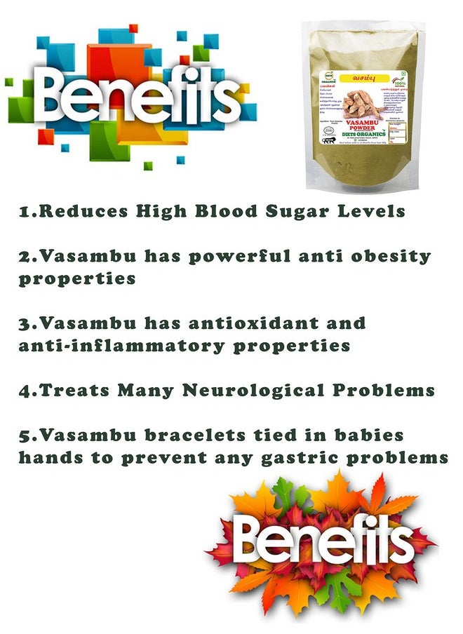 DIETS ORGANICS - Vasambu Powder/Acrous Calamus/Sweet Flag Powder-100 Gms Pack Of 1 - Image 1
