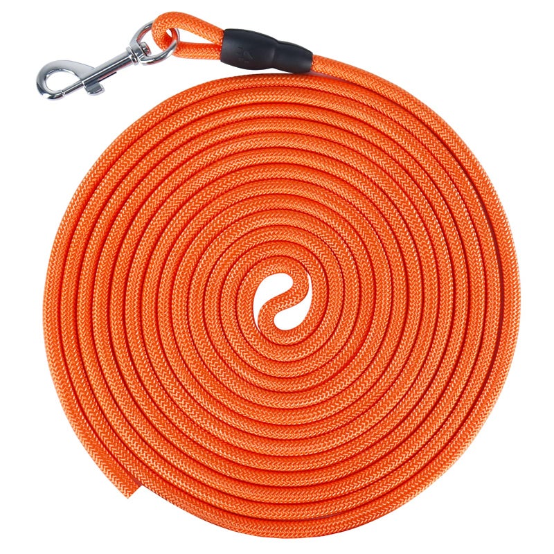 Vivifying Floating Long Dog Leash, 32FT Long Leash for Dog Training, Lightweight Check Cord for Outdoor, Hiking, Swimming, Beach and Lake - Image 1