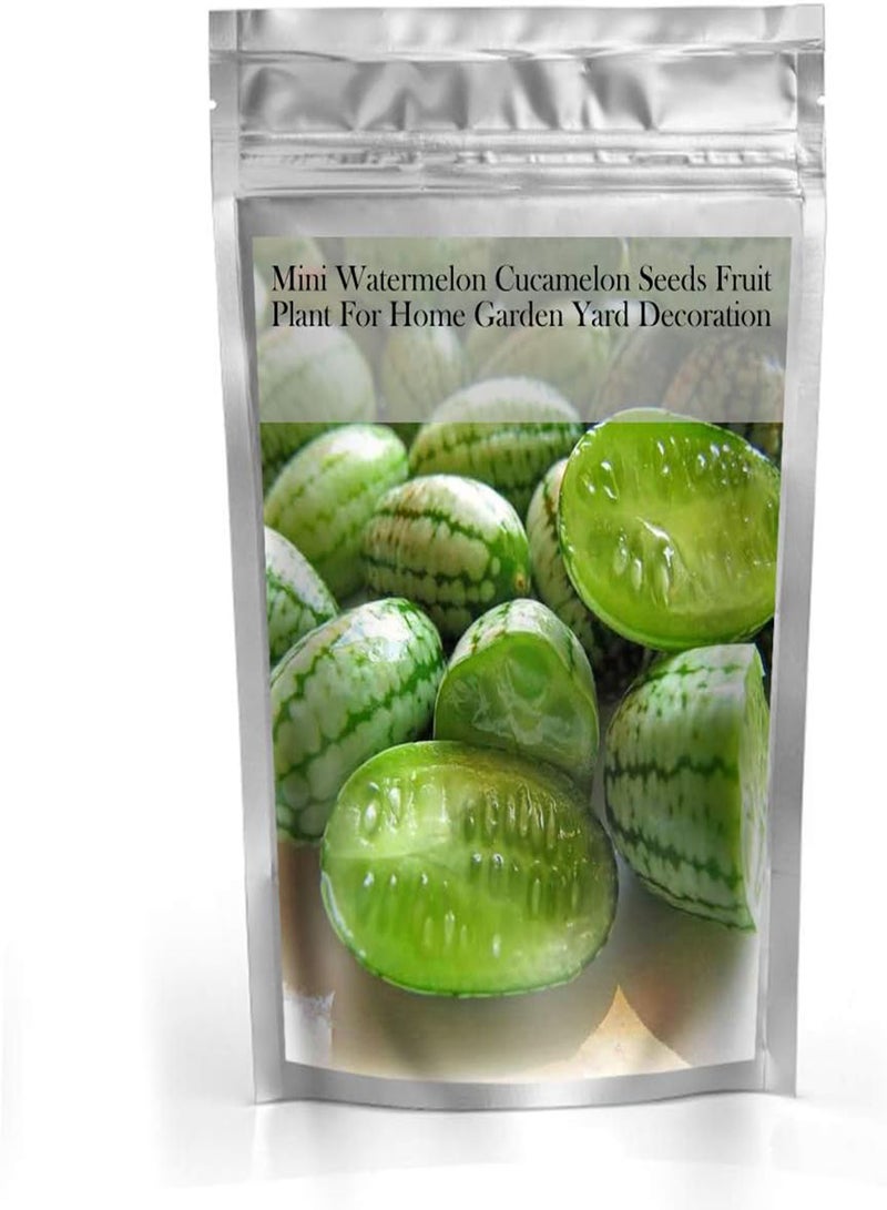 GGOOT Mexican Miniature Watermelon Seeds Organic Cucamelon Mini Sour Gherkin Fruit Plant - Image 2