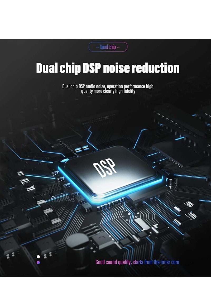 V8X Pro-Live Sound Card, USB External V8X Pro Karaoke Recording Mobile Audio Mixer, Audio Live Broadcast KTV Sound Card for Live Broadcast, K Songs, Recording, Voice Chatting