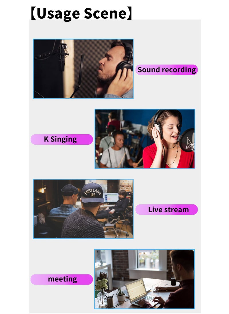 V8X Pro-Live Sound Card, USB External V8X Pro Karaoke Recording Mobile Audio Mixer, Audio Live Broadcast KTV Sound Card for Live Broadcast, K Songs, Recording, Voice Chatting