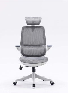 SIHOO SIHOO Office Room Furniture M59AS 3D Adjustable Armrests Grey Raise back posture chair office chair  - Image 1