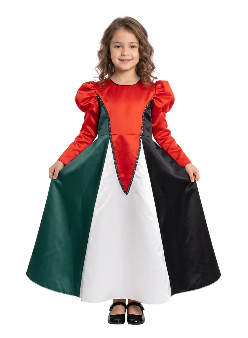 D'daniela Palestine Flag Dress