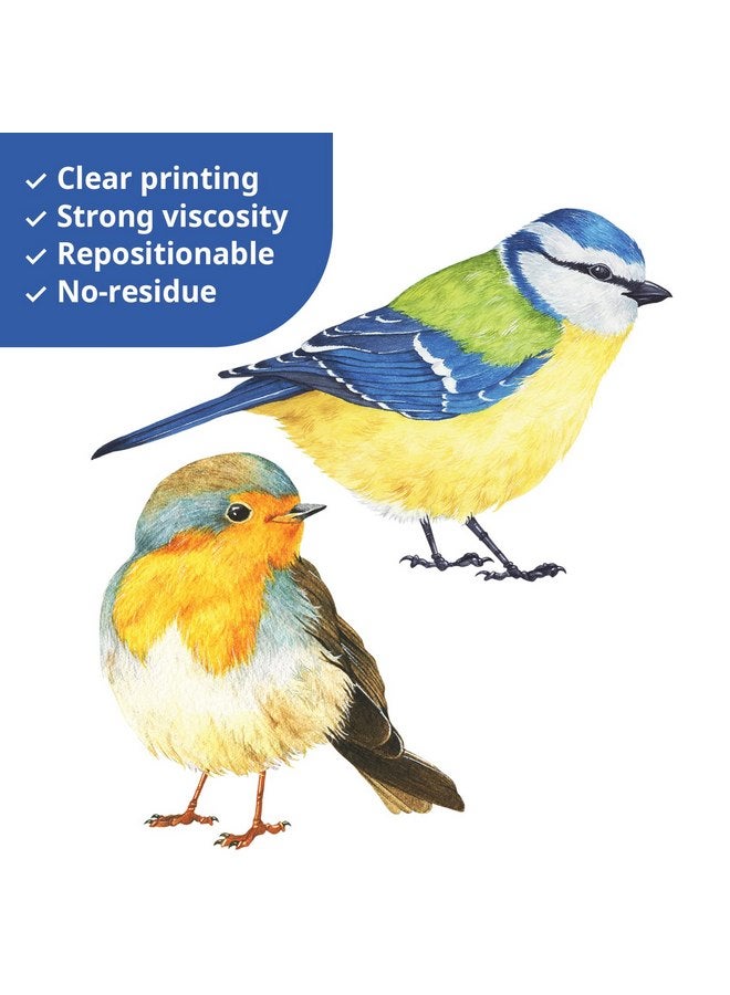 ديكو وال ملصقات حائط للأطفال من DECOWALL DS2-8038 عليها صورة طيور صغيرة، ملصقات حائط قابلة للإزالة وقابلة للتقشير واللصق لتزيين غرفة نوم الأطفال وغرفة المعيشة (صغيرة) - Image 4