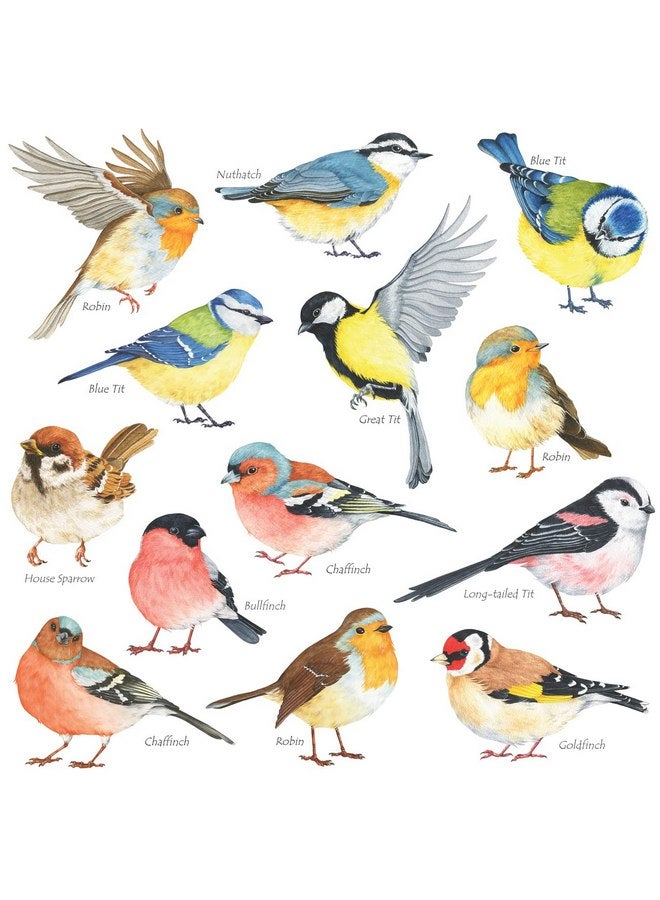 ديكو وال ملصقات حائط للأطفال من DECOWALL DS2-8038 عليها صورة طيور صغيرة، ملصقات حائط قابلة للإزالة وقابلة للتقشير واللصق لتزيين غرفة نوم الأطفال وغرفة المعيشة (صغيرة) - Image 1