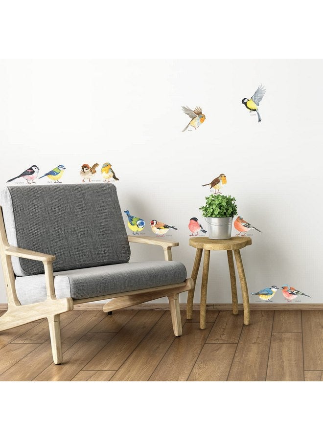 ديكو وال ملصقات حائط للأطفال من DECOWALL DS2-8038 عليها صورة طيور صغيرة، ملصقات حائط قابلة للإزالة وقابلة للتقشير واللصق لتزيين غرفة نوم الأطفال وغرفة المعيشة (صغيرة) - Image 3