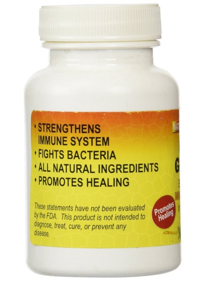 Nature Zone Nature Zone SNZ59331 Rot Guard Enhance Immune System for Reptiles, 2 Ounce - Image 4