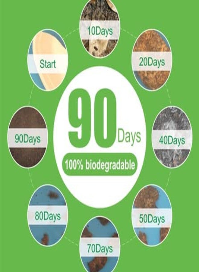 Adaamya® Bagasse Biodegradable Compostable Ecofriendly Hygienic Disposable Cup (Beige) (400 ml, 50) - Image 4