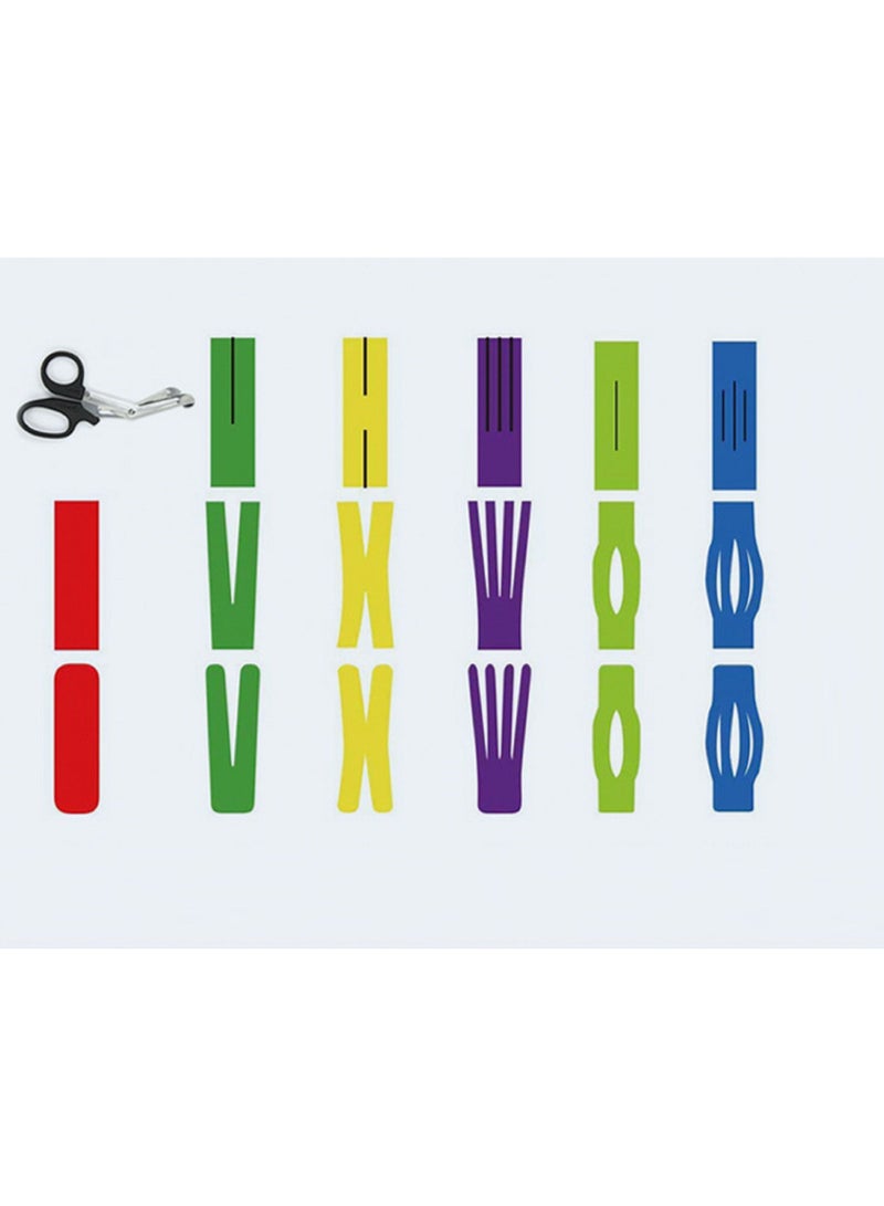 Loquat شريط تمارين العضلات المرن من سكوالتي (لفة واحدة) - Image 2