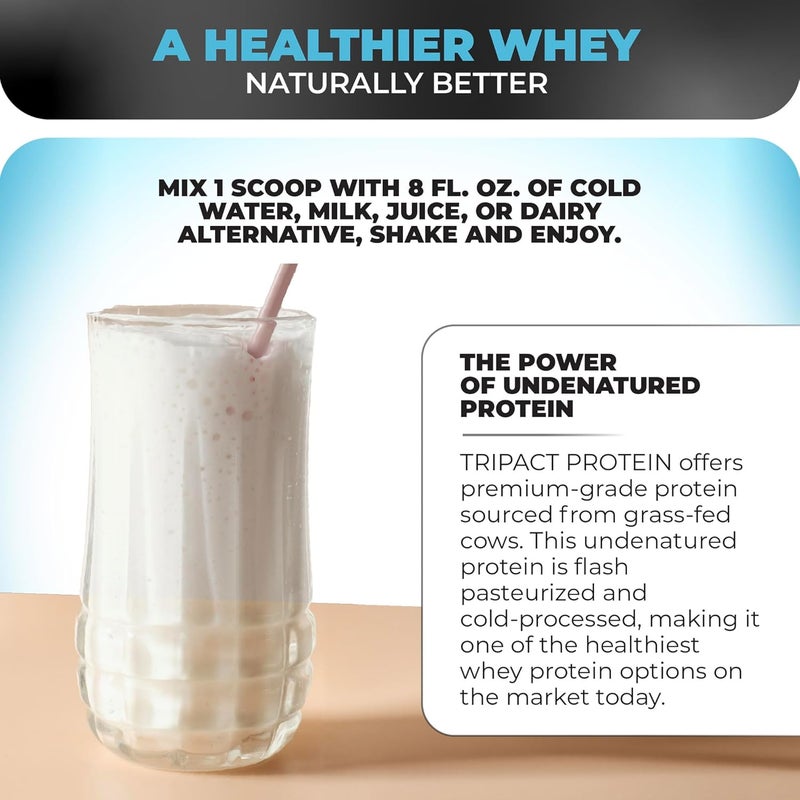 Nutrology TRIPACT Protein Powder Vanilla Latte  Cinnamon Flavor 7in1 Meal Replacement Shake with Grass Fed Whey Protein Powder Pea Rice Greens Probiotics  BCAAs Amino Energy 20 Servings - Image 4