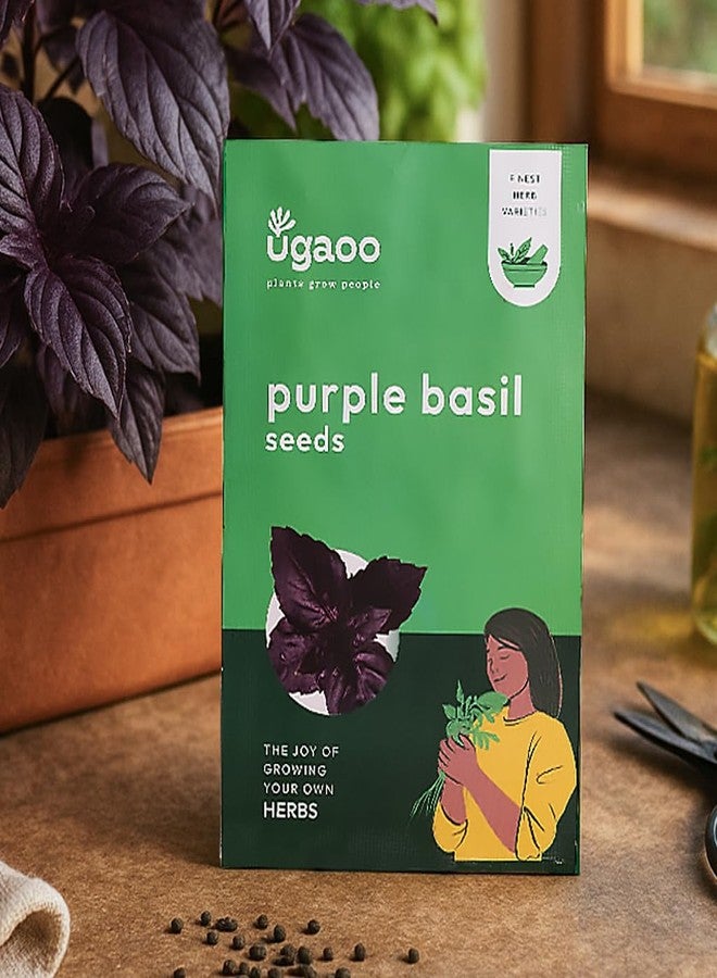 UGAOO Purple Basil Herb Seeds (Purple, Pack of 1000) - Image 1
