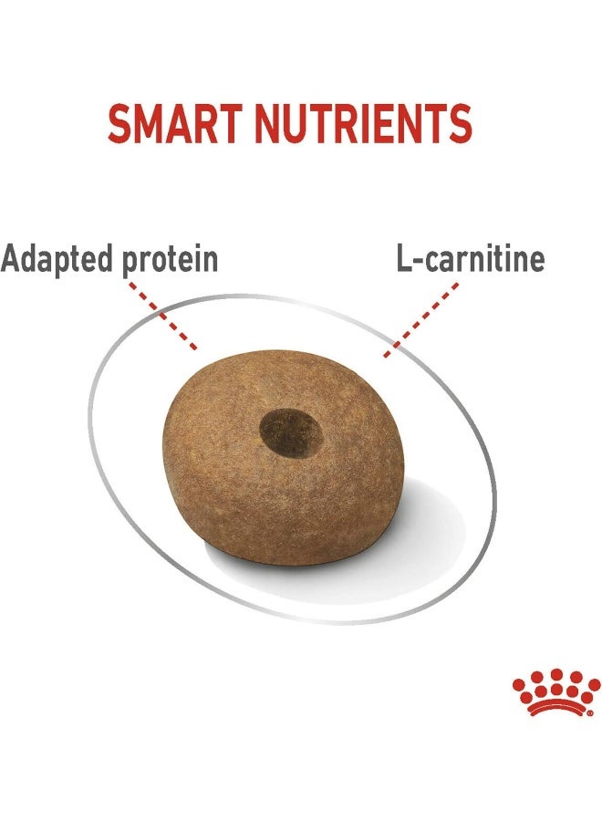 ROYAL CANIN رويال كانين للعناية بتغذية الكلاب متوسطة الحجم خفيفة الوزن 12 كجم - Image 2