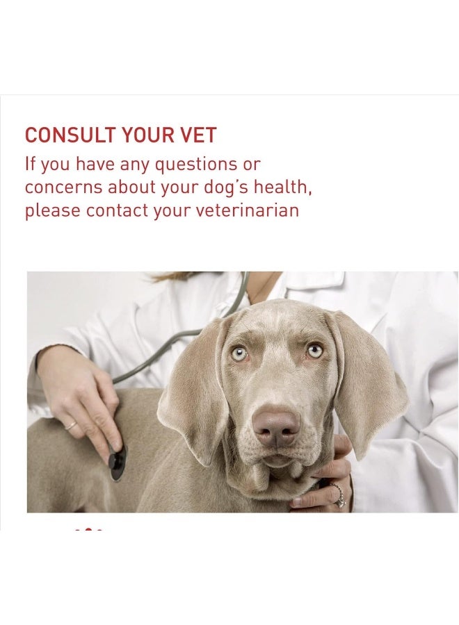 ROYAL CANIN رويال كانين للعناية بتغذية الكلاب متوسطة الحجم خفيفة الوزن 12 كجم - Image 3